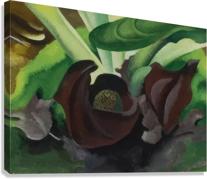 Georgia OKeeffe 23 Canvas Print