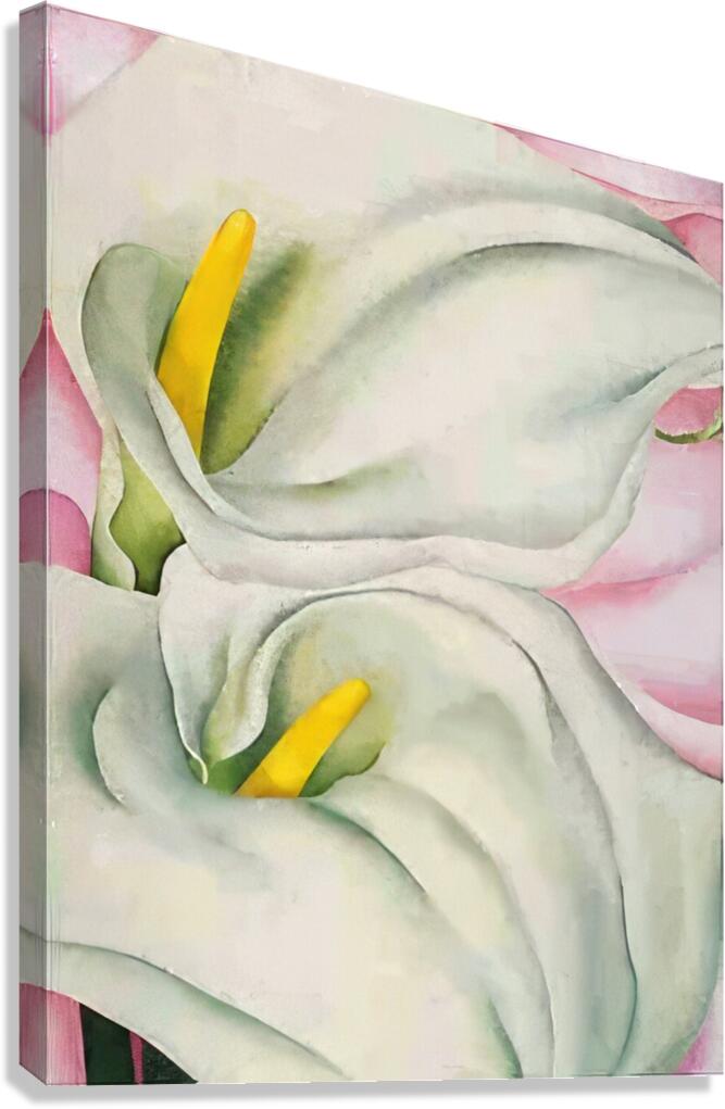 Georgia OKeeffe 25 Canvas Print