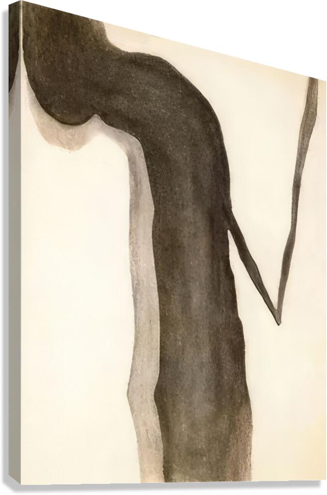 Georgia OKeeffe 69 Canvas Print