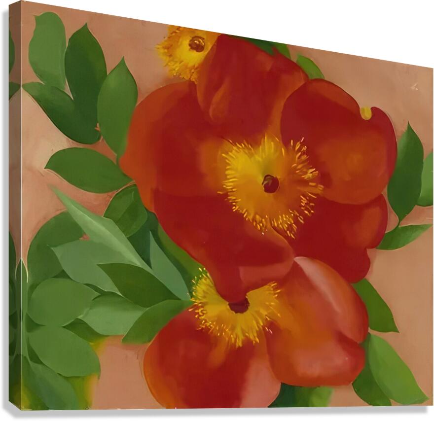 Georgia OKeeffe 18 Canvas Print