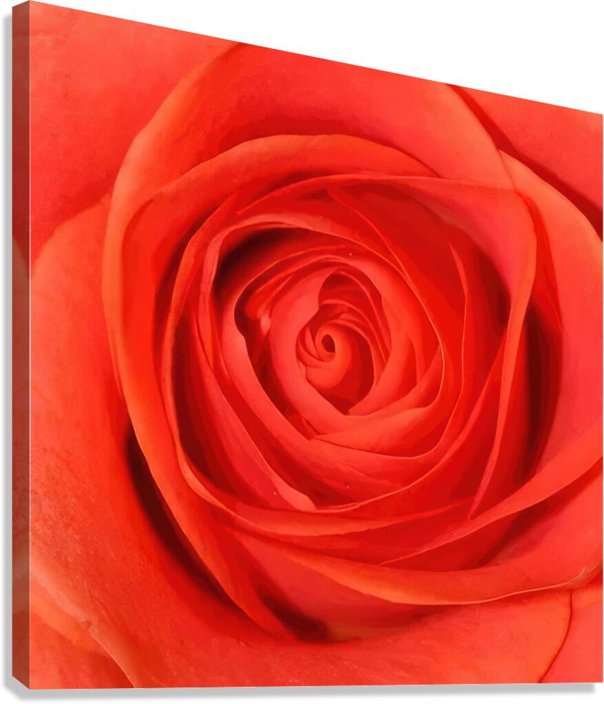 Georgia OKeeffe 26 Canvas Print