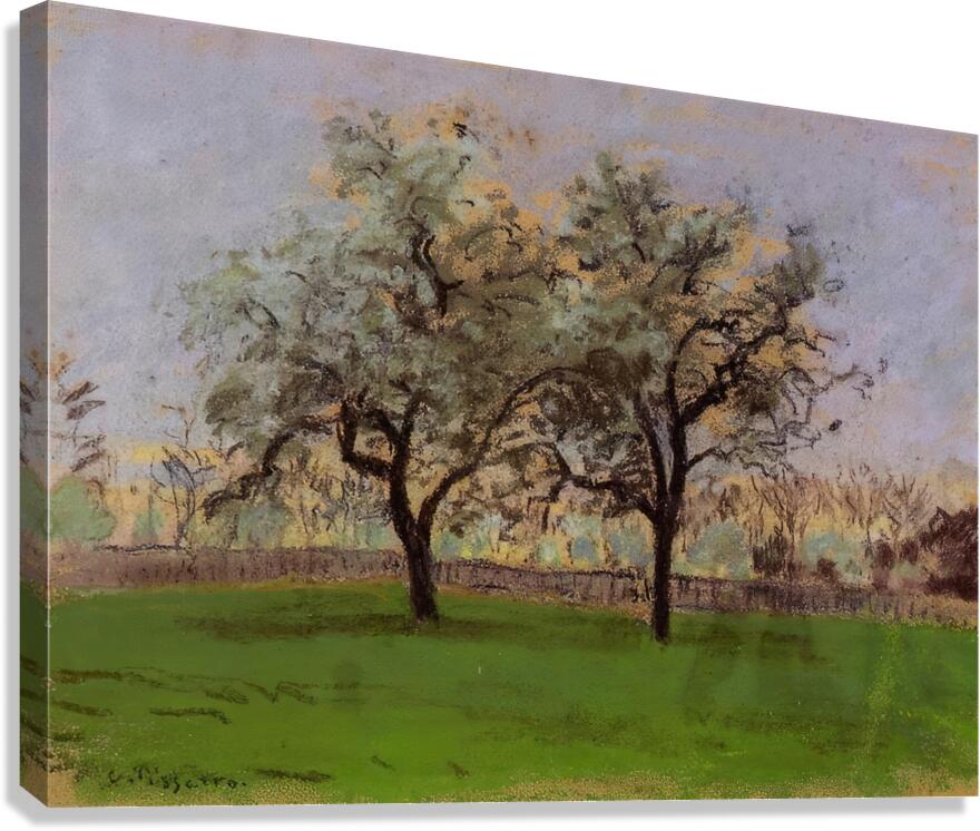 Apples Trees at Pontoise 1872 Camille Pissarr Canvas Print