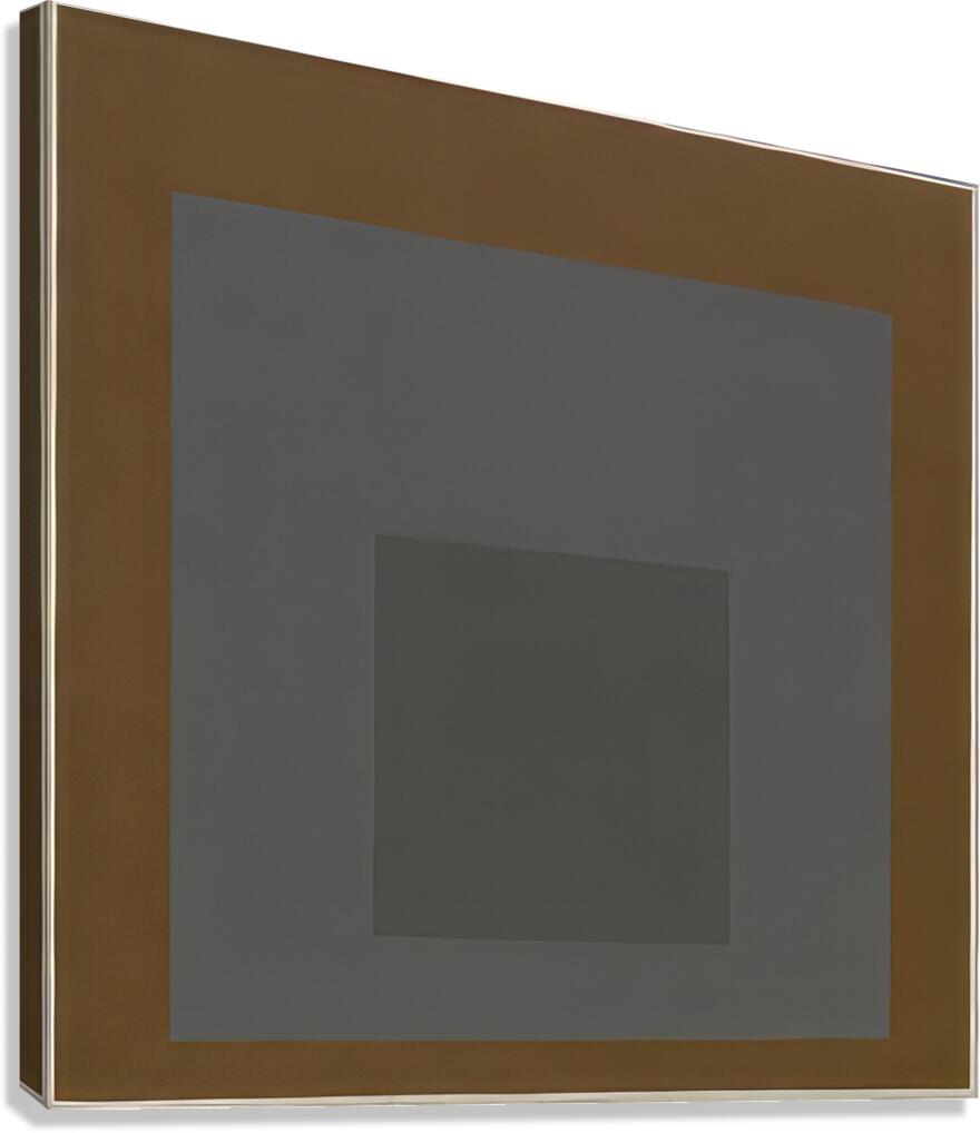 Josef Albers    17 Canvas Print