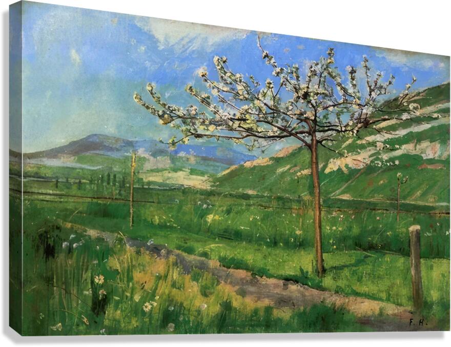 Art by Ferdinand Hodler  25 Canvas Print