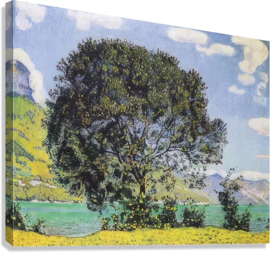 Art by Ferdinand Hodler  41 Canvas Print