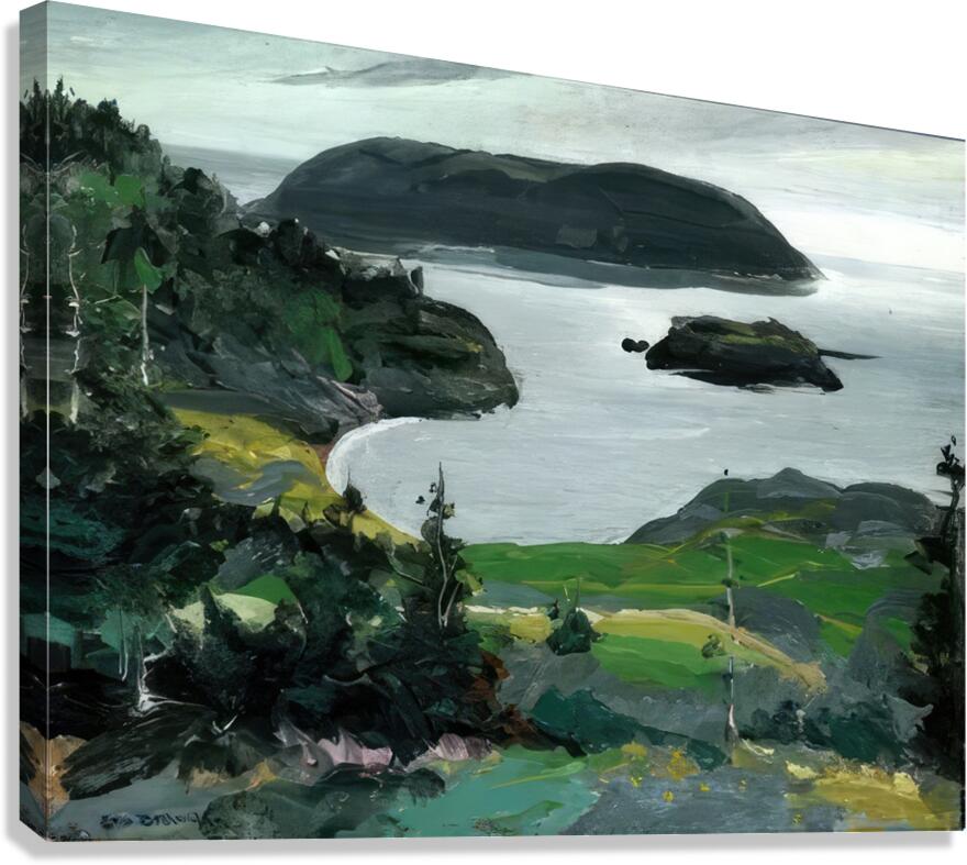 George Bellows 14 Canvas Print