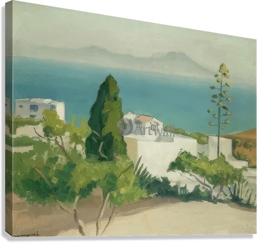 Albert Marquet  20 Canvas Print
