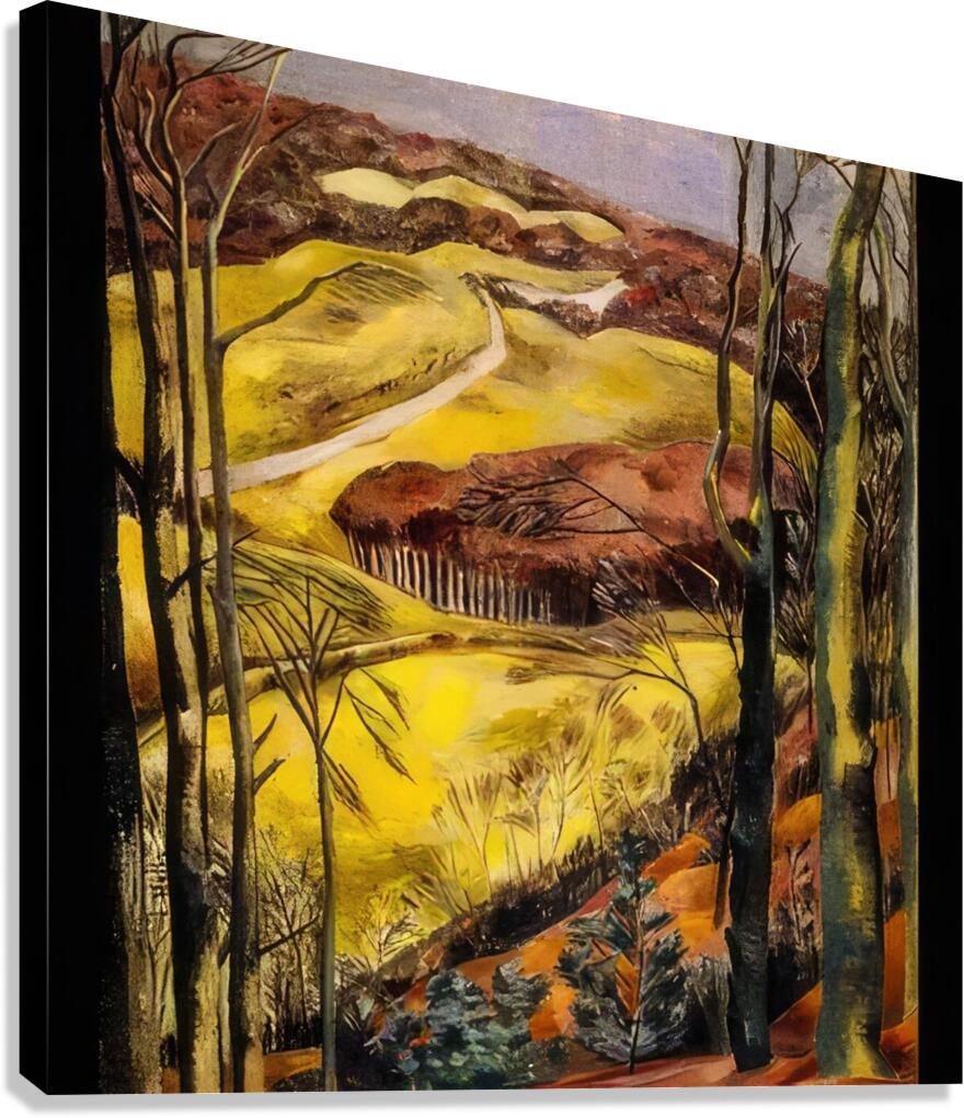 Paul Nash 18 Canvas Print