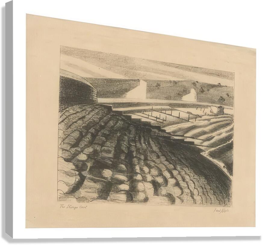 Paul Nash 43 Canvas Print