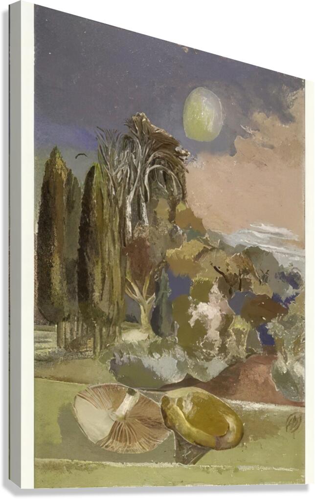 Paul Nash 42 Canvas Print