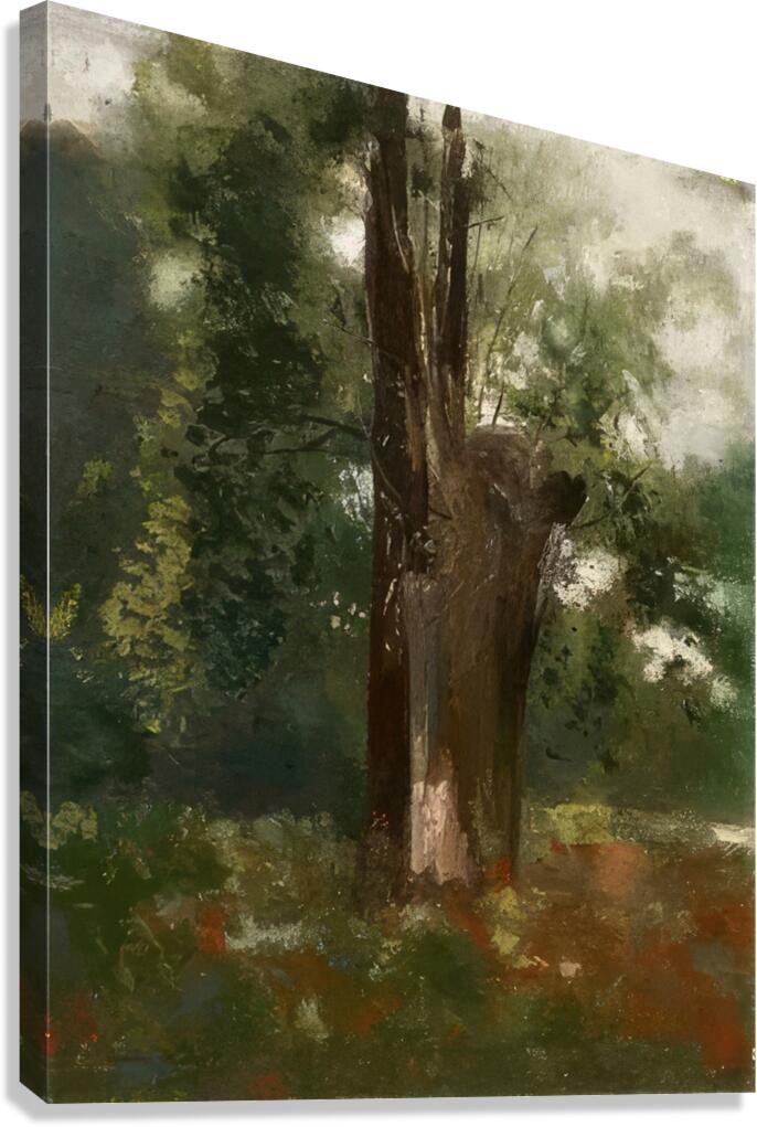 Odilon Redon 24 Canvas Print