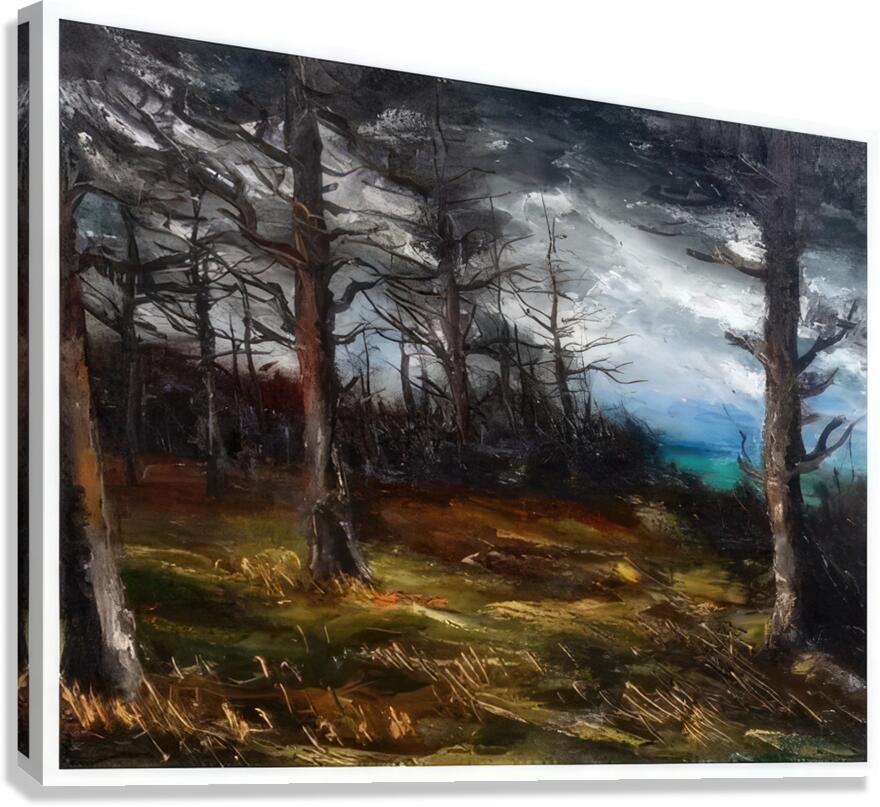 Maurice de Vlaminck 21 Canvas Print