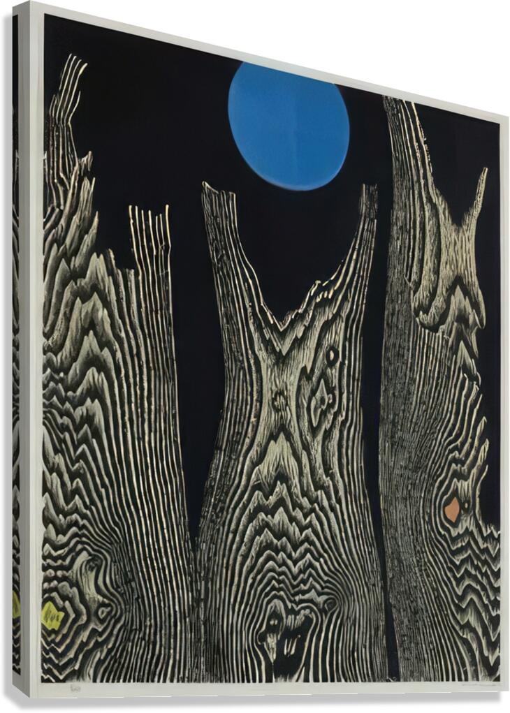 Max Ernst 41 Canvas Print
