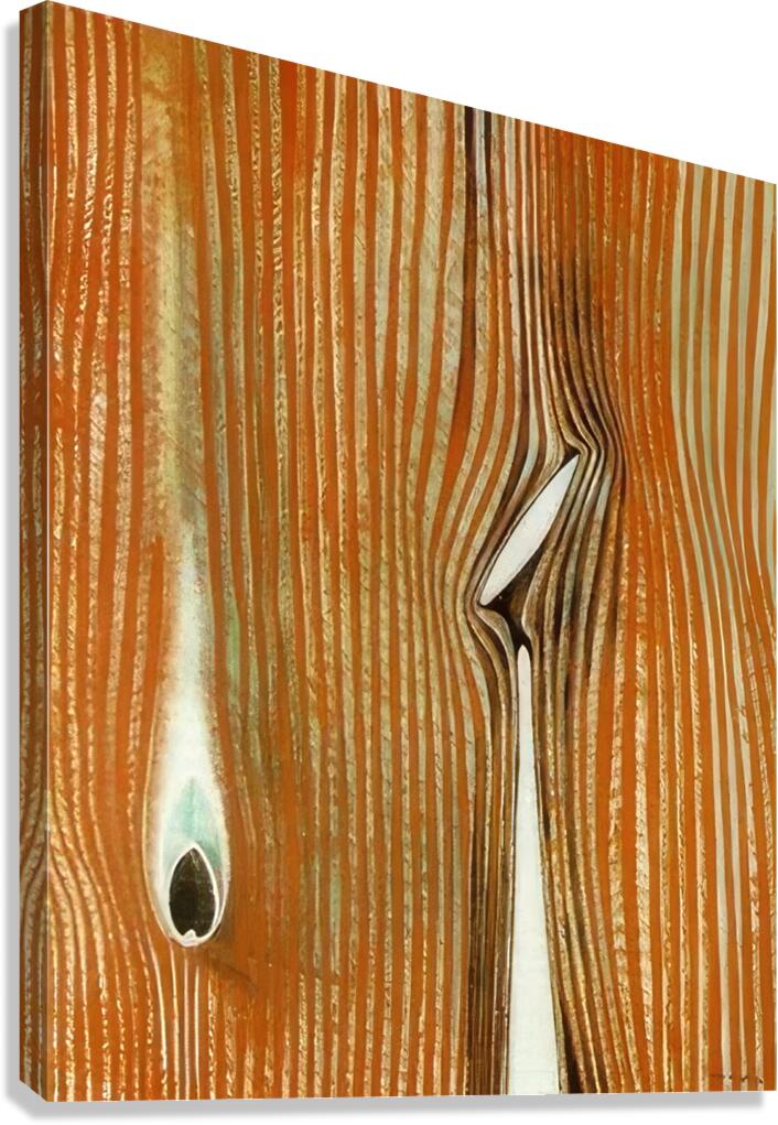 Max Ernst 5 Canvas Print