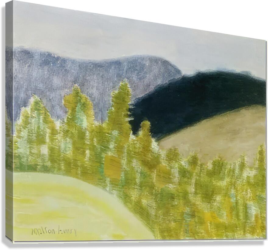 Milton Avery 36 Canvas Print