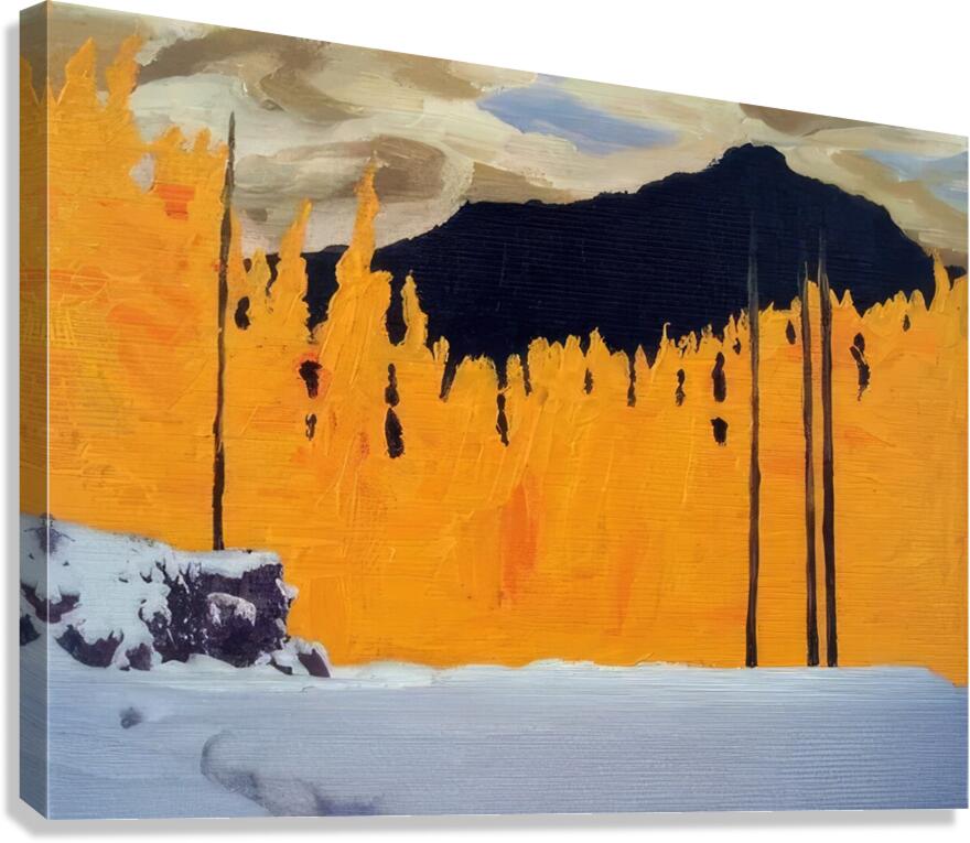 Tom Thomson 2 Canvas Print