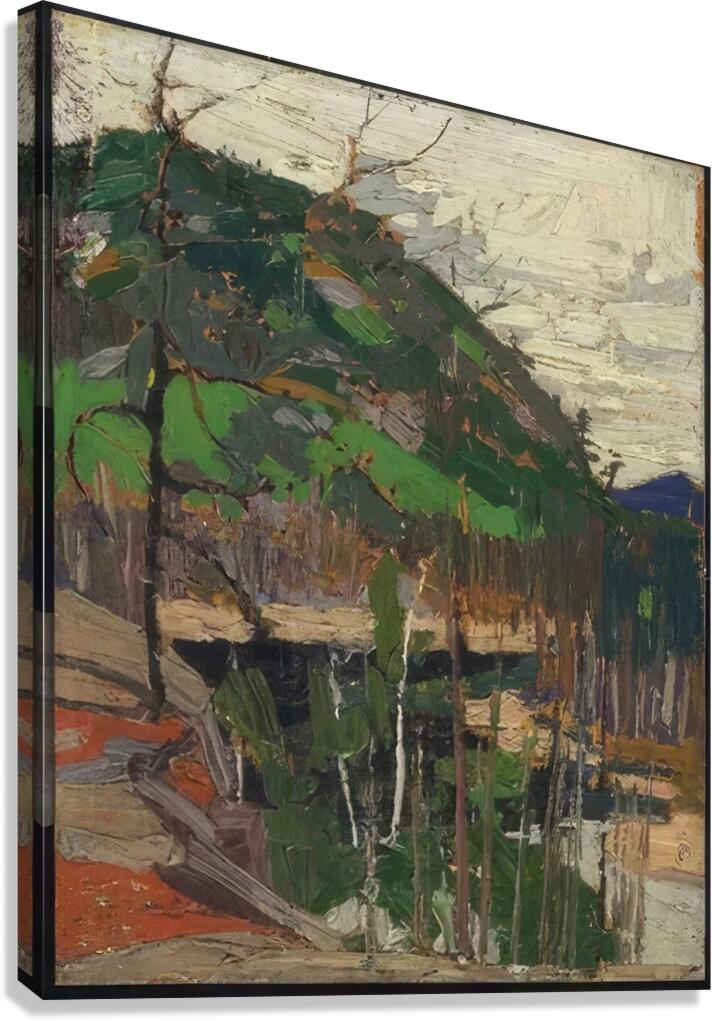 Tom Thomson 6 Canvas Print