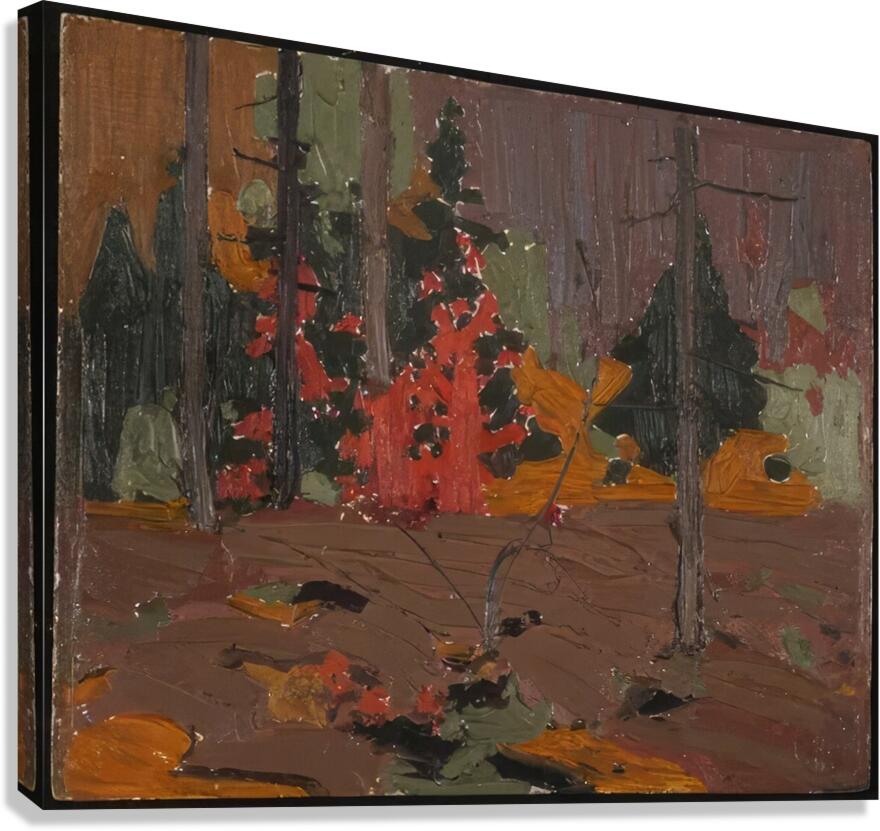 Tom Thomson 17 Canvas Print