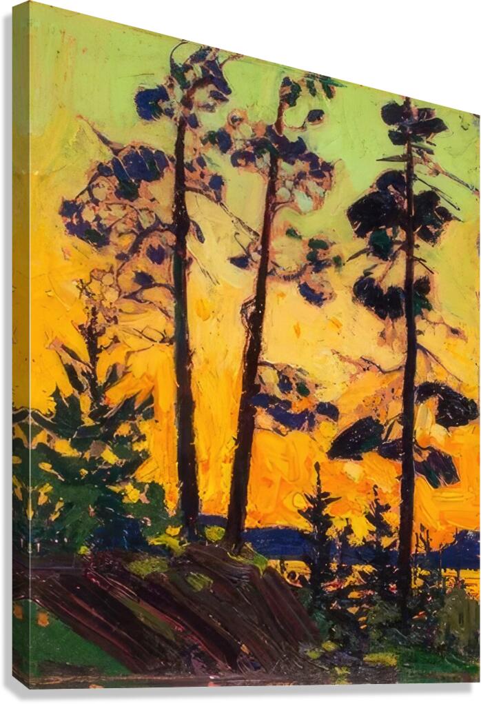 Tom Thomson 18 Canvas Print