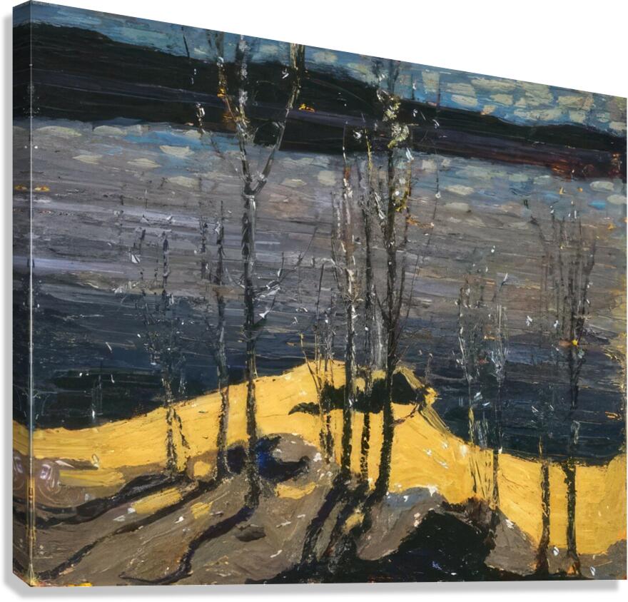 Tom Thomson 22 Canvas Print