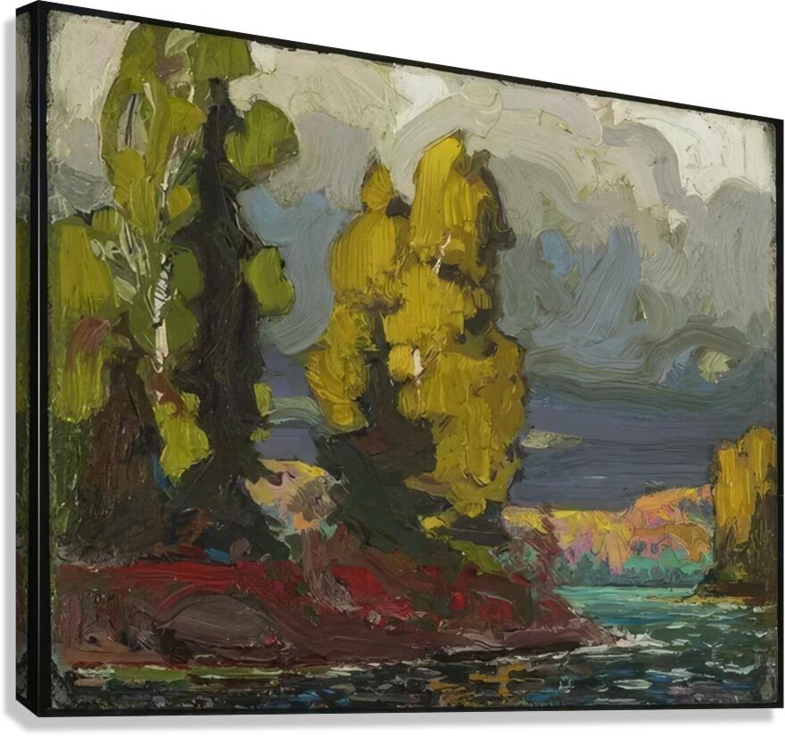 Tom Thomson 44 Canvas Print
