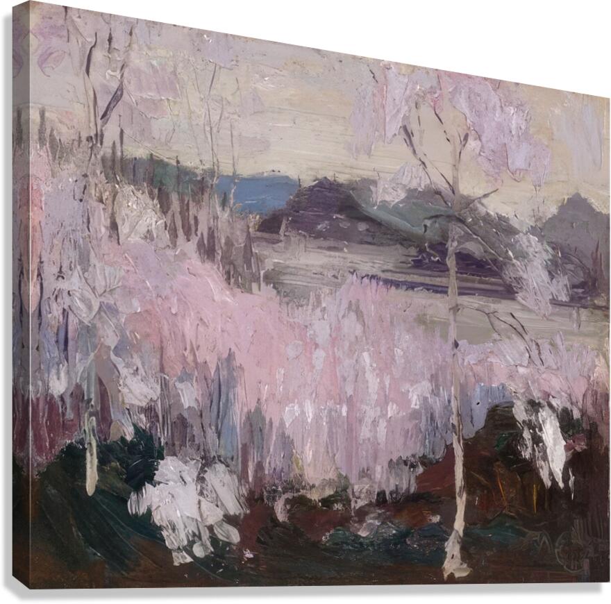 Tom Thomson 46 Canvas Print