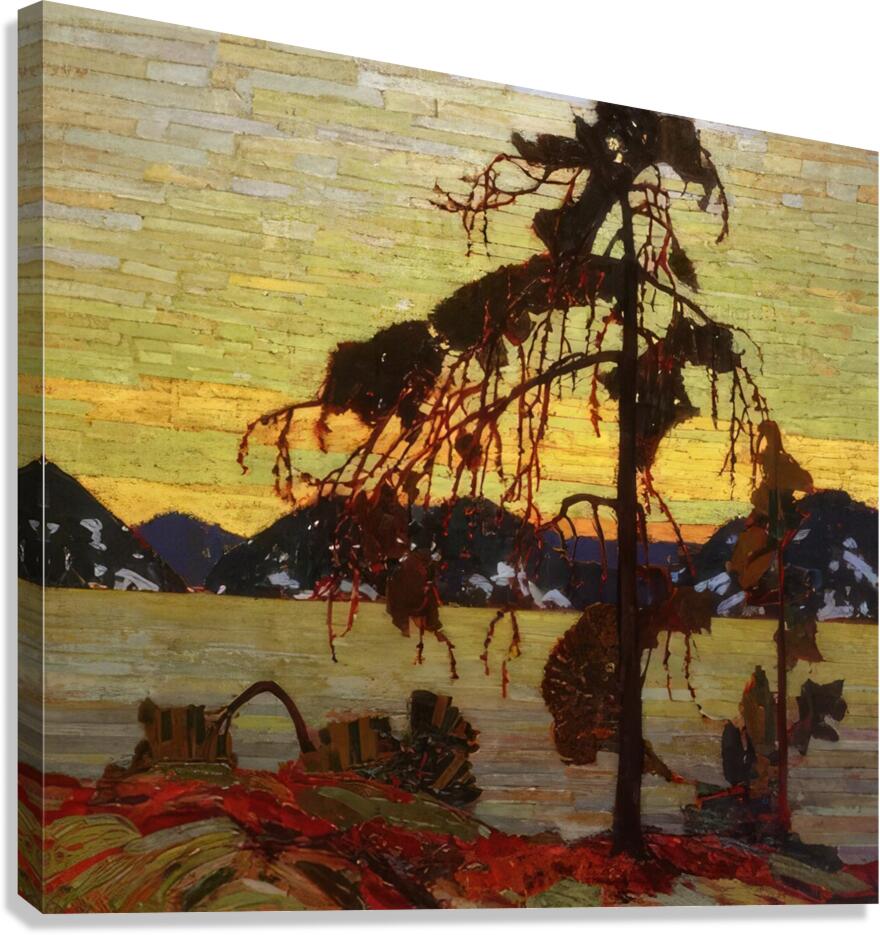 Tom Thomson 51 Canvas Print