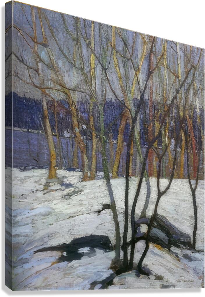 Tom Thomson 55 Canvas Print