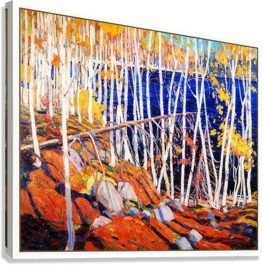 Tom Thomson 63 Canvas Print