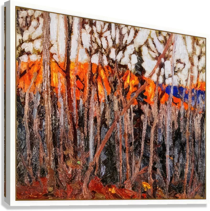Tom Thomson 69 Canvas Print