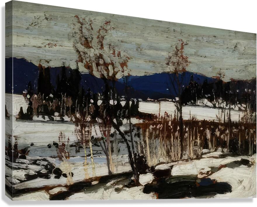 Tom Thomson 73 Canvas Print