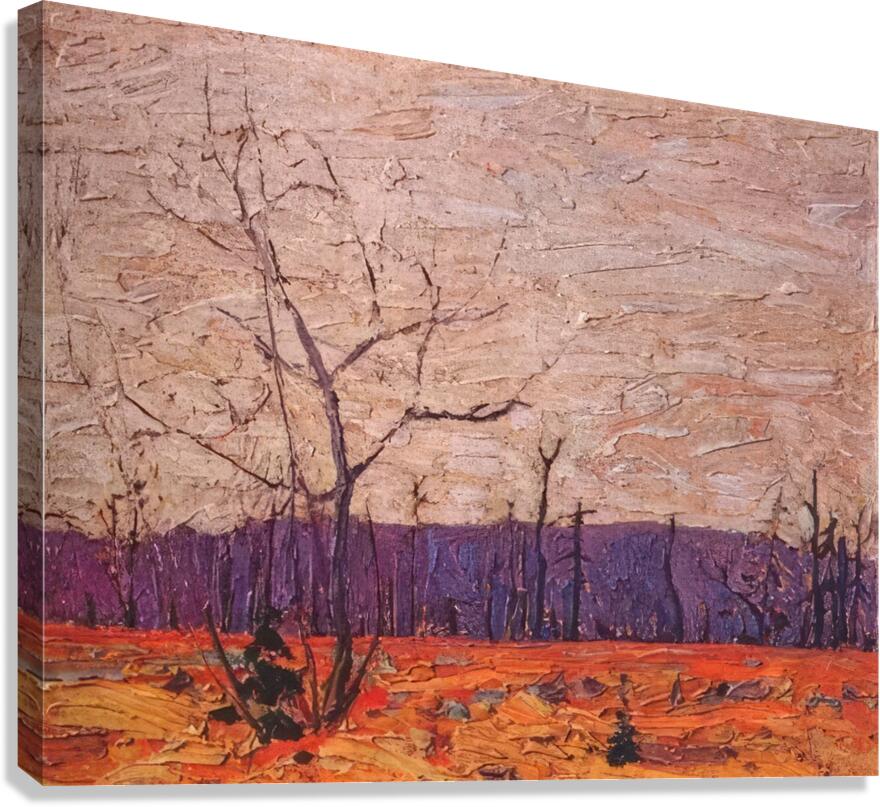 Tom Thomson 10 Canvas Print
