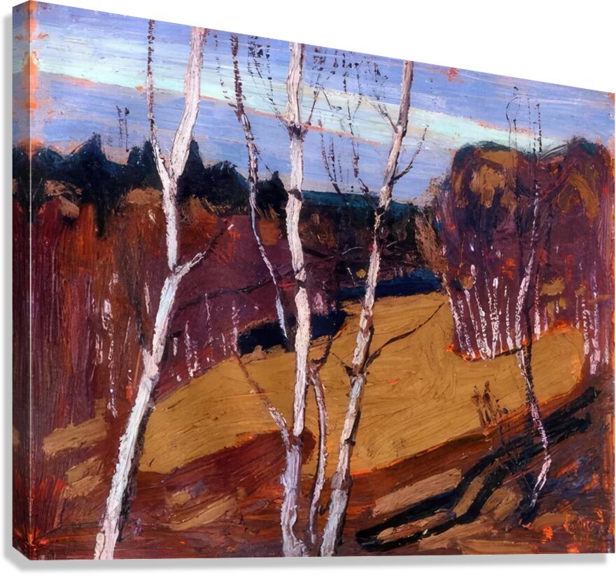 Tom Thomson 17 Canvas Print