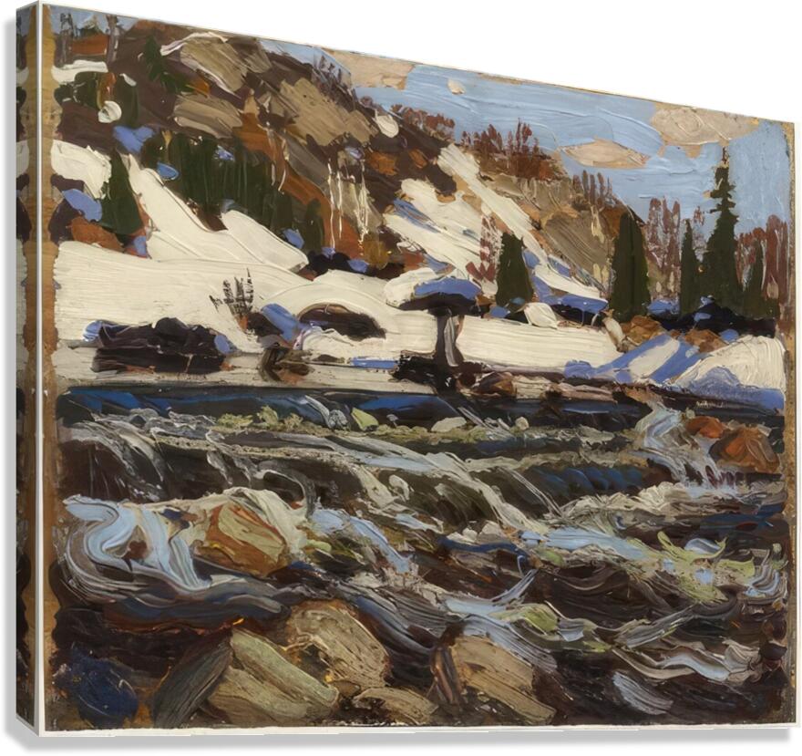 Tom Thomson 22 Canvas Print