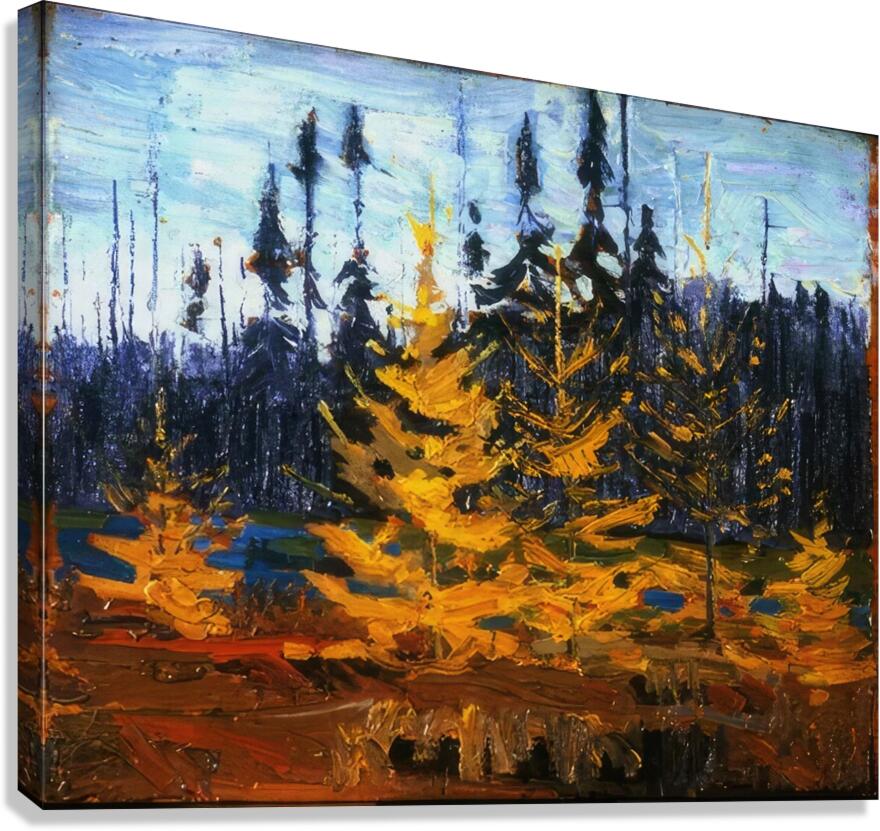 Tom Thomson 23 Canvas Print