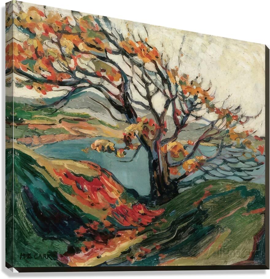 Emily Carr 29 Canvas Print