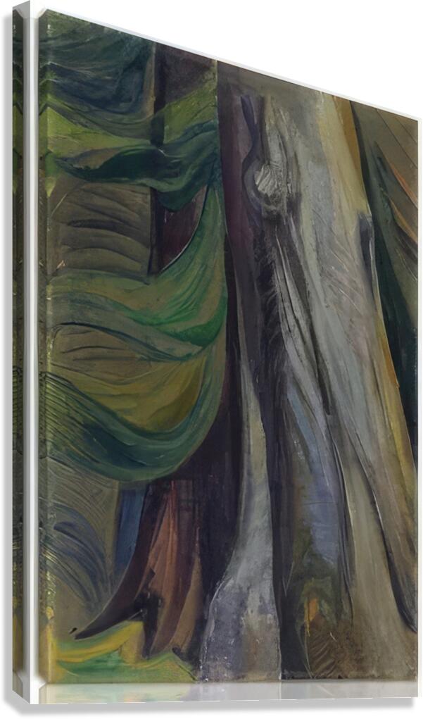 Emily Carr 45 Canvas Print