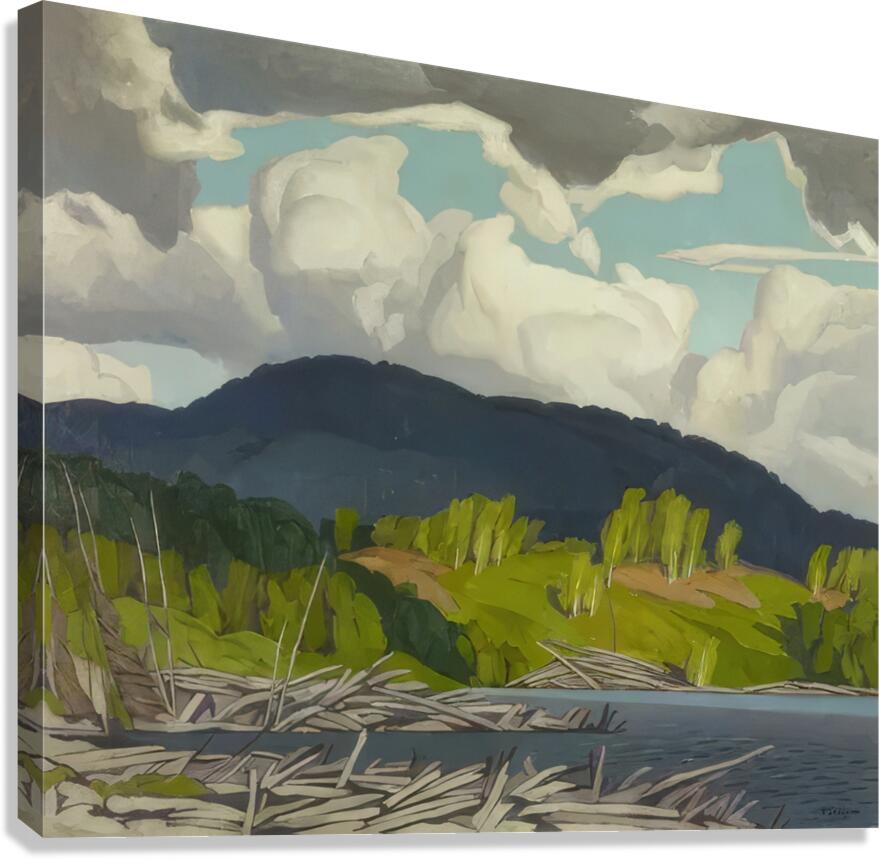 Emily Carr 55 Canvas Print