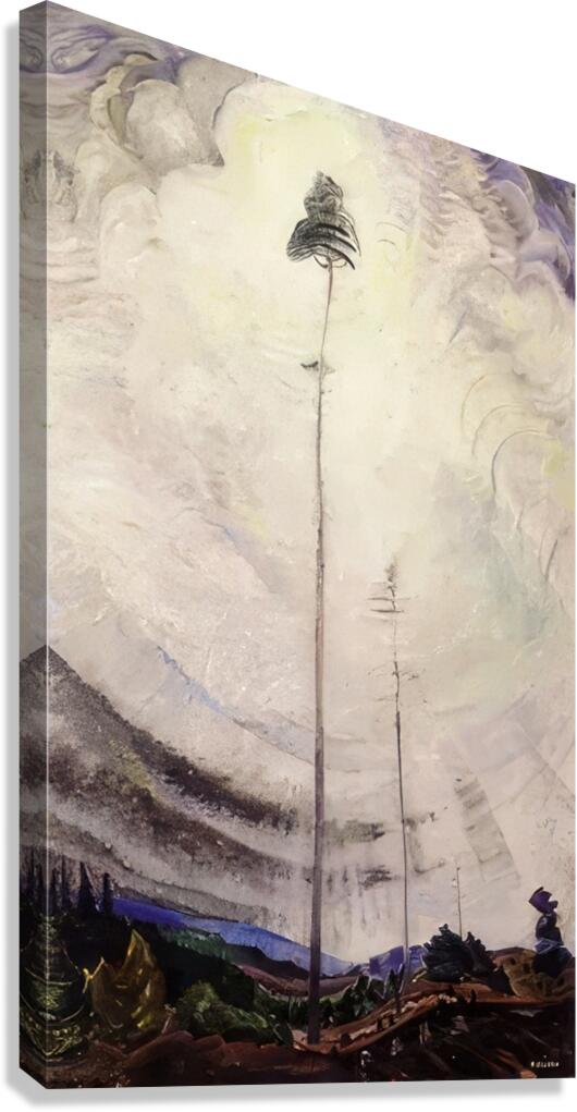 Emily Carr 37 Canvas Print