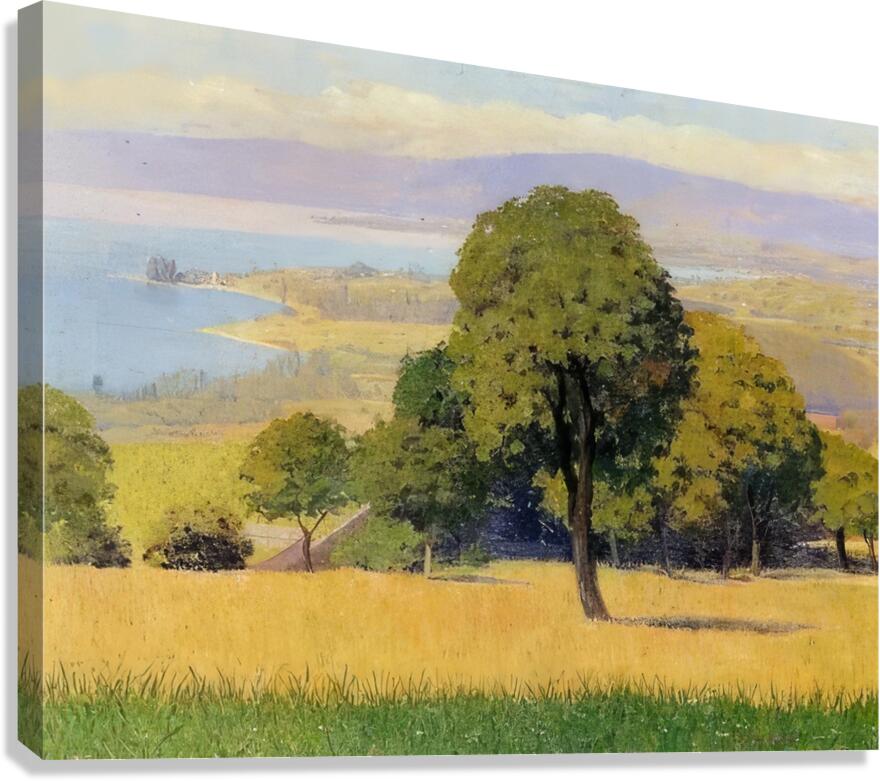 Félix Thiollier 2 Canvas Print