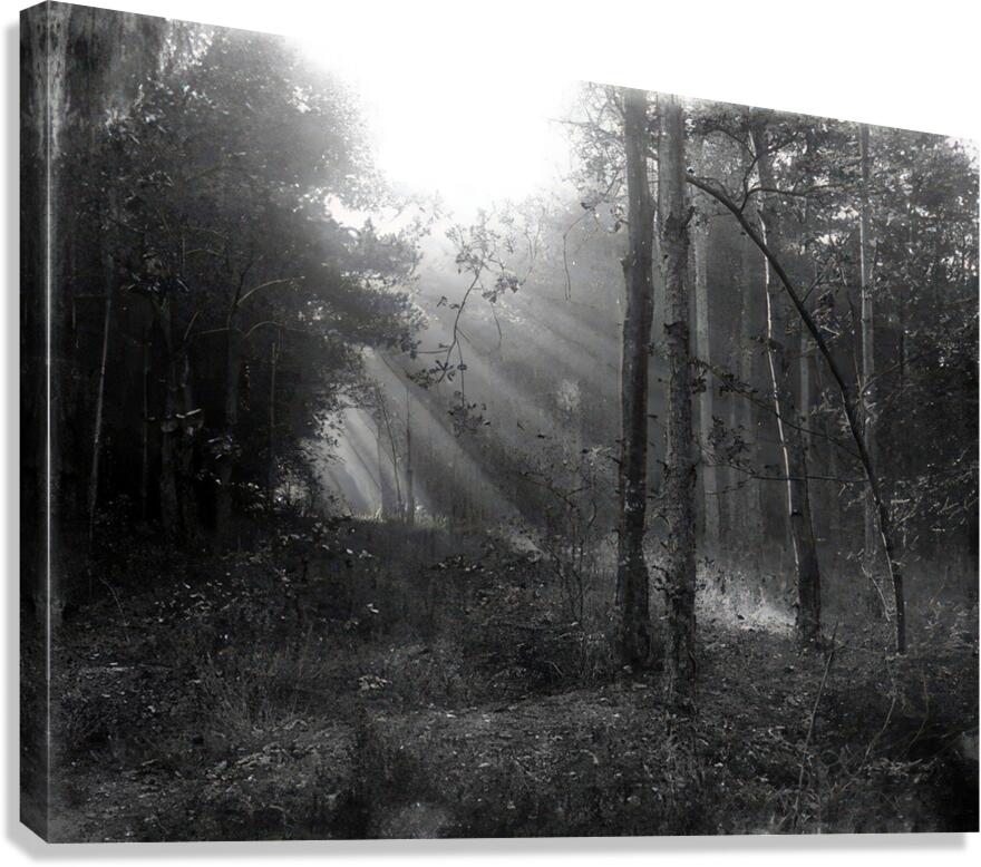 Félix Thiollier 40 Canvas Print