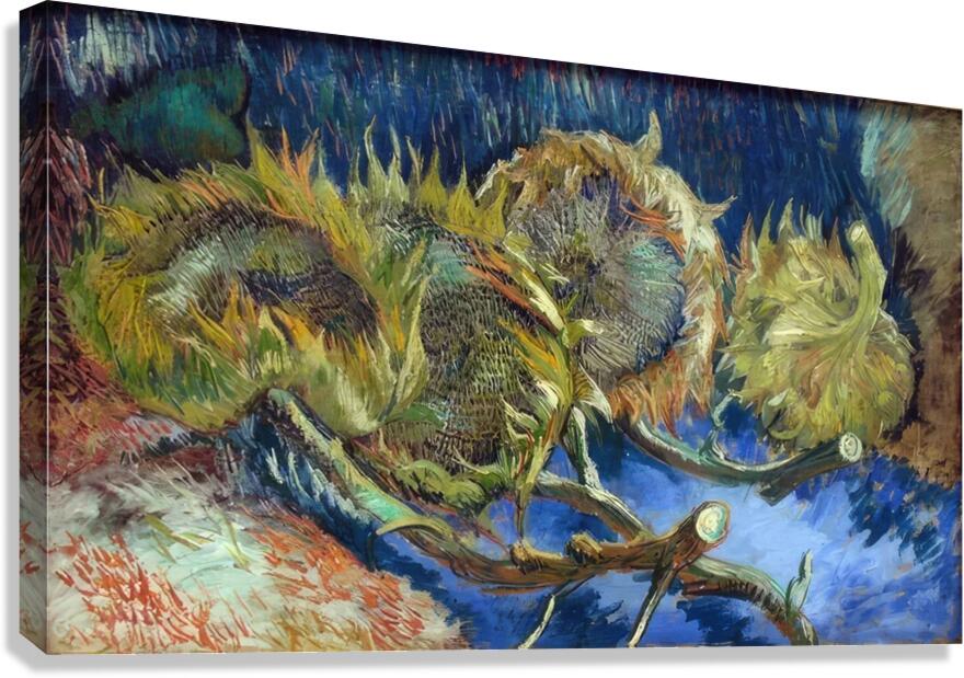 Vincent van Gogh 34 Canvas Print