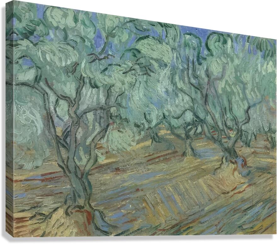 Vincent van Gogh 14 Canvas Print