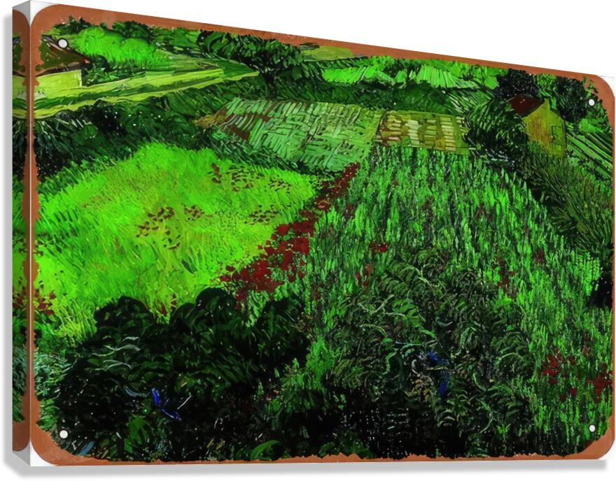 Vincent van Gogh 32 Canvas Print