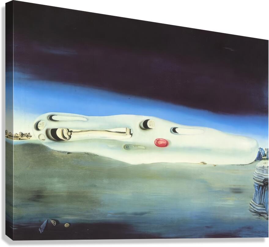 Salvador Dalí 5 Canvas Print