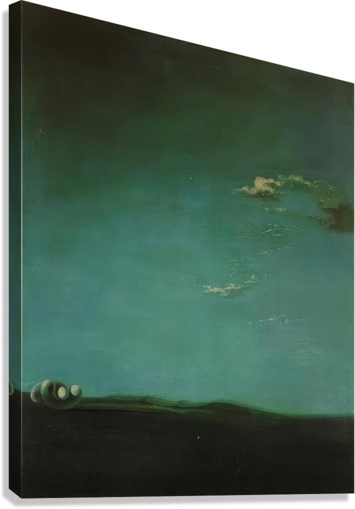 Salvador Dalí 37 Canvas Print