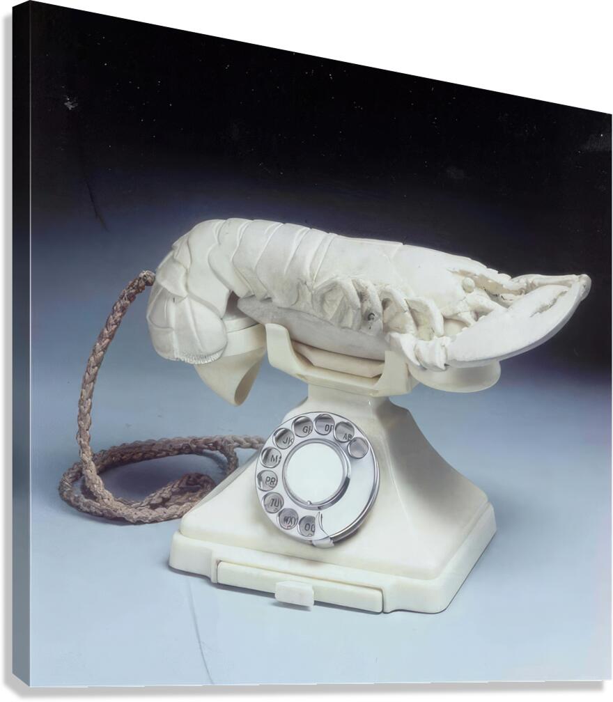 Salvador Dalí 41 Canvas Print