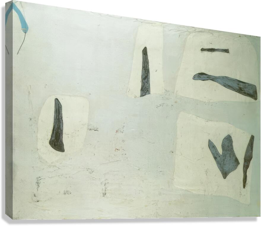 Salvador Dalí 49 Canvas Print