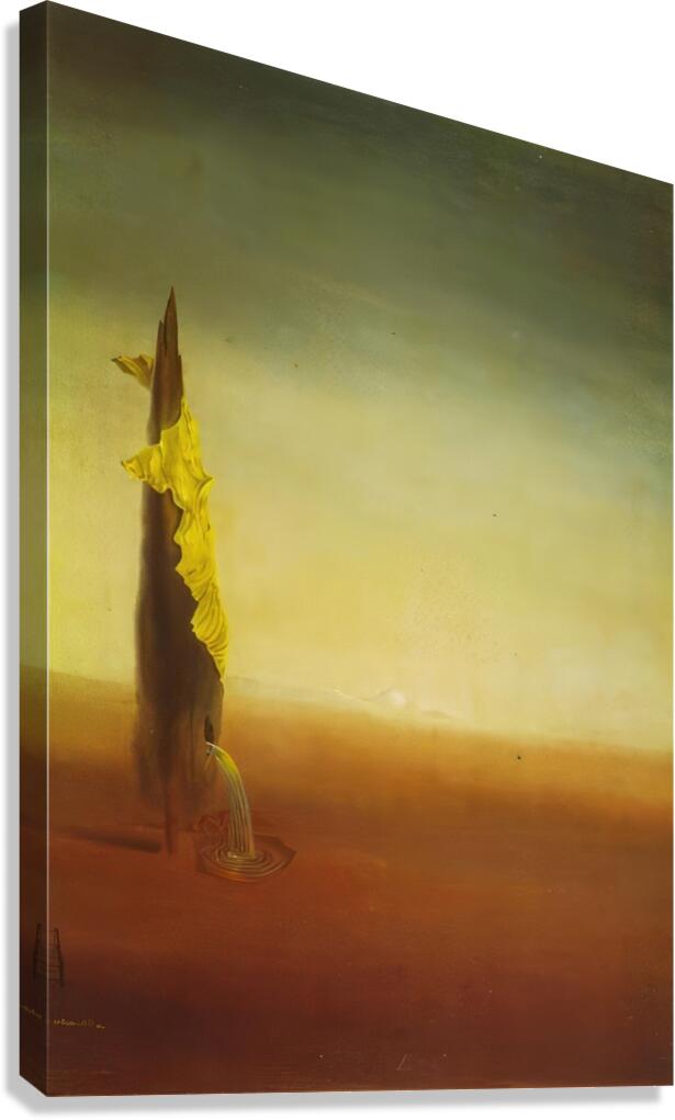 Salvador Dalí 6 Canvas Print
