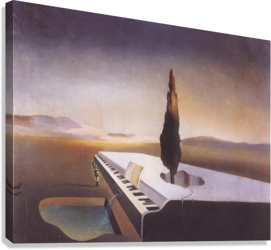 Salvador Dalí 33 Canvas Print